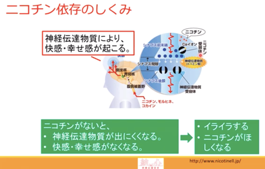 ニコチンへの依存が「幸福感」にどう影響する？